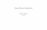 Deep Neural Networks - w3.cs.jmu.edu · GPGPU Maxout RMSProp Dropout Rectified Linear Units Cluster Computing Kaggle Street View House Numbers ... Neurovision: Neural bases of …