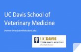 UC Davis School of Veterinary Medicinemed.stanford.edu/content/dam/sm/compmed/documents/pre-vet/exp… · Case Based Learning exercise Histology lab: liver Mini-rotation in the VMTH
