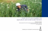 Role of ICTs as enablers for agriculture and small-scale farmers · 2009-04-14 · Role of ICTs as enablers for agriculture and small-scale farmers ... -markets - rural off-farm employment