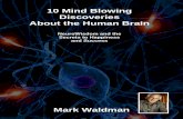 10 Mind Blowing Discoveries About the Human Brainvanburenpublishing.com/wp-content/uploads/1-Neuro... · 10 Mind Blowing Discoveries About the Human Brain ... complex and more sensory