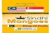 mango fetsival 2013post visit report - Sindh Board Of ... visit report mango fetsival 2013.pdf · in collaboration with Agriculture Department (GoS), Pakistan Fruits and Vegetable