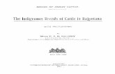 BREEDS OF INDIAN CATTLE. - rarebooksocietyofindia.org · BREEDS OF INDIAN CATTLE The I ndigenous Breeds of Cattle In Rajputana. CHAPTER 1. CATTLE all RAJPUTANA. THE cattle of Itajputana,
