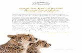 Cheetah Exam Prep for the PMP Classroom Course Syllabus · He provided real world examples that made ... -Develop Project Management Plan ... • Cheetah Facilitated Practice Exams