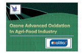 ESALTIA Ozone advanced oxidation PROCESS AOP in …€¦ · Microsoft PowerPoint - ESALTIA Ozone advanced oxidation PROCESS AOP in agri-food indutry.ppt Author: Miguel Created Date:
