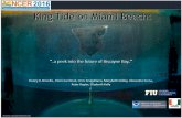 PowerPoint Presentationconference.ifas.ufl.edu/NCER2016/presentations/33_1100_Briceno.pdf · ½NCER 2016 Conference Ecosystem Ing Tide on MlamiOéach: -a peek into the future of Biscayne