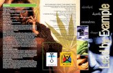 alcohol DAGGA death mandrax - Aurora Centre 1.pdf · alcohol mandrax dagga Dagga is the illegal drug which is most widely abused. Classification Dagga is a hallucinogen – it changes