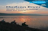 Hudson River - Health Advice on Eating Fish You Catch · Rock bass Yellow perch Up to 1 meal/month DON’T EAT All other fish from the Mid Hudson ... Health advice on eating fish