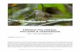 FRENCH POLYNESIA, PITCAIRN & HENDERSON REP 2014-ebook.pdf · 1 BirdQuest Tour Report: French Polynesia, Pitcairn & Henderson Tuamotu Sandpiper in the Tuamotus ... LEADER: DEREK SCOTT
