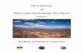 The Vegetation of White Sands Missile Range, New Mexico · The Vegetation of White Sands Missile Range, ... The Vegetation of White Sands Missile Range, New Mexico1 Volume I: ...