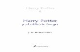 Rowling, J. K. - Harry Potter 04 - Harry Potter y el ... · J. K. Rowling 04 ² Harry Potter y el cáliz de fuego 6 de efecto y anunció a la concurrencia, repentinamente ...