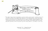 Survey Of The Minor Prophets - Church of Christ · Survey Of The Minor Prophets David A. Padfield 1. The Minor Prophets. Introduction. I. “When, in an apprehensive or deploring