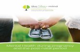 Mental Health during pregnancy and the post-natal periodshawmindfoundation.org/.../12/Shaw-Mind-Pregnancy-and-post-partu… · ental health during pregnancy and the post-natal period