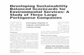Developing Sustainability Balanced Scorecards for ...pascal.iseg.utl.pt/~socius/publicacoes/wp/lina_lucas_paula_2007... · the case of Novar-tis, ... A variety of sustainability balanced