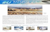 WATERCOLOUR NEW ZEALAND Inc.· WATERCOLOUR NEW ZEALAND Inc. Newsletter 161 September – November