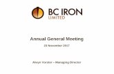 Annual General Meeting - bciminerals.com.au · Focussed Diversification Strategy Iron Ore Agricultural & Industrial Gold & Base Metals ... A$18.3M Using FY17 earnings as reference,