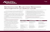 NTRODUCED LUESTEM RASSES Management on ative andsforages.tamu.edu/PDF/ERM036-Introduced-Bluestem-Grasses.pdf · ERM-06 1017 INTRODUCED BLUESTEM GRASSES: Management on ative ands M.