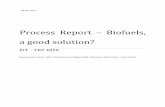 Process Report – Biofuels, a good solution? - dvikan.no · NTNU, 2013 Process Report – Biofuels, a good solution? EIT – TKP 4850 Binod Gautam Sunar, Hafsa Choudhury, Karl Magnus