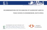 RECOMMENDATIONS FOR THE HANDLING OF FLUORESCENT LAMPS … · environment and health research unit recommendations for the handling of fluorescent lamps in public schools in johannesburg,