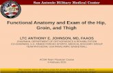 Functional Anatomy and Exam of the Hip, Groin, and Thighforms.acsm.org/15TPC/PDFs/13 Johnson A.pdf · "The warrior above all others prays for peace, for it is the warrior above ...