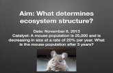 Aim: What determines ecosystem structure? - Weeblynorthsidescience.weebly.com/uploads/1/4/1/8/14183290/ecology_4.pdf · Aim: What determines ecosystem structure? ... includes the