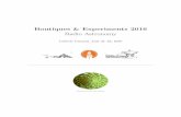 Boutiques & Experiments 2016 Radio Astronomysrk/Workshop/BnE2016_NB.pdf · Boutiques & Experiments 2016 Radio Astronomy ... with radial distance is reminiscent of the log-periodic