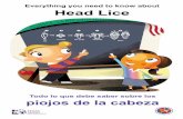 Everything you need to know about Head Licedshs.texas.gov/schoolhealth/pdf/headlice.pdf · Todo lo que debe saber sobre los piojos de la cabeza Everything you need to know about Head