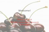 New Cherry Varieties of Interest to PNW Growers · New Cultivar Attributes • Greatest Interest –Early or very late • 10-12 days before Bing • After Sweetheart –Good shipping
