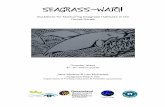 Torres Strait workshop - Mar09 - Seagrass-Watch€¦ · Thursday Island, 4-8 March, 2009 1 Overview Seagrass-Watch is a global non-destruct ive, scientific seagrass assessment and