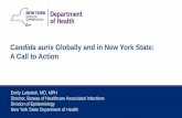 Candida auris Globally and in New York State: A Call to Action · Candida auris Globally and in New York State: A Call to Action. Emily Lutterloh, MD, MPH. Director, Bureau of Healthcare
