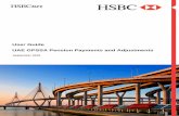 HSBCnet User Guide - business.hsbc.com.bh · UAE Pension payments and adjustments 2 Using the UAE Pension payments As an HSBCnet customer, your organisation can meet the …