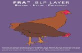 FRA BLP LAYER - Silo Additivessiloadditives.com/f/media/141/19363/fra blp layer 2010.pdf · FRA® BLP LAYER BUTYRIC / LACTIC / ... ence on the palatability. They have no destroying