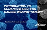 Introduction to Humanized Mice for Cancer …jackson.jax.org/rs/444-BUH-304/images/Hu-Mice_for_Cancer...Cancer Therapy Modeling: ADCC-mediated killing reduces tumor load in NSG TM