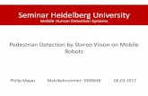 Pedestrian Detection by Stereo Vision on Mobile Robots · PDF filePedestrian Detection by Stereo Vision on ... Distance To Camera: ...