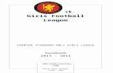 Somerset - Team Mendip FCteammendipfc.co.uk/wp-content/uploads/2014/01/Leagu…  · Web viewSomerset . Girls Football . ... Manager – Jerry Philips . 18 Westfield Road, Curry Rivel.