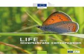 LIFE and invertebrate conservation - European Commissionec.europa.eu/.../lifefocus/documents/invertebrates.pdf · LIFE NATURE LIFE AND INVERTEBRATE CNSERVATIN EUROPEAN COMMISSION