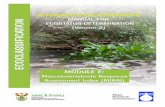 MODULE E: Macroinvertebrate Response · Module E: Macroinvertebrate Response Assessment Index in River EcoClassification: Manual for EcoStatus Determination ... 2-4 Table 2.4 Invertebrate