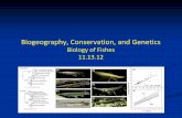 Biogeography, Conservation, and Genetics · Biogeography – the study of the distribution of life on Earth, or which organisms live where and why 2 primary components Historical