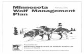 Minnesota Wolf Management Planfiles.dnr.state.mn.us/.../animals/mammals/wolves/wolfplan.pdf · Minnesota Wolf Management Plan - 2001 4 • compensation for livestock losses will be