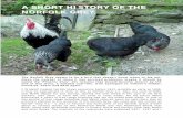 A SSHHOORRTT HHIISSTTOORRYY OOFF TTHHEE … · In 1974 Andrew Bowden took the original cock and two of the original hens to Wilf Allen, noted poultry expert and writer, someone who
