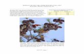 INDIANA DUNES AREA BIRD REPORT: FALL 2017 …nimbabirds.weebly.com/uploads/4/2/4/0/4240968/xfall_2017_lake... · INDIANA DUNES AREA BIRD REPORT: FALL 2017 Kenneth J. Brock- Chesterton,