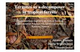 Termites as a decomposer in tropical forests - Amazon S3s3.amazonaws.com/publicationslist.org/data/akinori_yamada/ref-40... · Termites as a decomposer in tropical forests Ecosystem-Scale