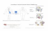 Lumbar Facet Joint Pain Patterns - Integrated Health … · Based on: Fukui S et al. Distribution of referred pain from the lumbar zygapophyseal joints and dorsal rami. ... Lumbar