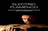 programa pdf en - electricflamenco.comelectricflamenco.com/programa_pdf_en.pdf · will practice “Falsetas”, perform “Rasgueados”, traditional and modern chords. ENJOY ELECTRIC