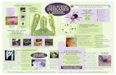 TICKS IN Lyme disease AND TICK BITE TICKSnrs.ucdavis.edu/mcl//technical/CDH Lymes Disease brochure.pdf · TICK-BORNE DISEASES AND TICK BITE PREVENTION California Department of Health