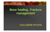 Bone healing. Fracture management - Semmelweis …semmelweis.hu/.../files/2012/10/bonehealing.fracturemanagement1.pdf · Bone healing. Fracture management ... Types of Fractures: