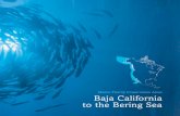 Marine Priority Conservation Areas: Baja California to … · Disponible en español Cite as: Morgan, ... Marine Priority Conservation Areas: Baja California to the Bering Sea. ...