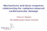 Mechanisms and dose response relationship for radiation ... damage.pdf · Mechanisms and dose response relationship for radiation-induced cardiovascular damage Fiona A. Stewart The