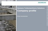 Siemens Turbomachinery Solutions Company profile · Industrial & Power fans ... delivery, acc. ISO-5389 and ASME PTC-10 Addional test available are: ... 11 units 14 units 20 units
