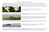 History – Road Map of Events - dlr.de · History – Road Map of Events The Institute of Flight Research of the German Aerospace Center (DLR, ... flying qualities flight test evaluation