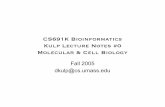 CS691K Bioinformatics Kulp Lecture Notes #0 Molecular ... · CS691K Bioinformatics Kulp Lecture Notes #0 Molecular & Cell Biology Fall 2005 dkulp@cs.umass.edu